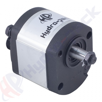 product Case hydraulic pump, 3054300R93 image thumb